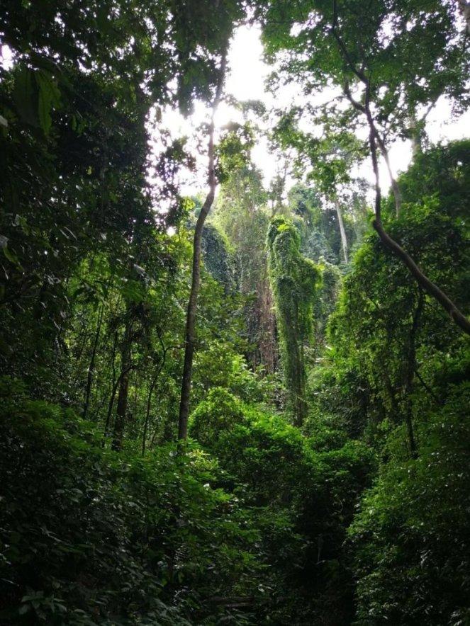 别再去山姆人挤人了！随便搅搅就能搞定，追剧待客还得是它！